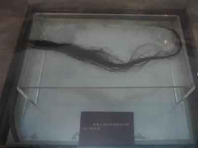 何以中国｜大别山下的革命岁月（三）：烈士青丝