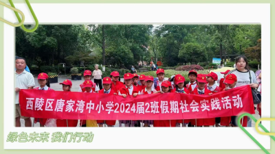 绿色未来，我们行动——金斗山社区爱国卫生实践活动