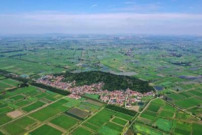 城乡融合的峒山答卷  