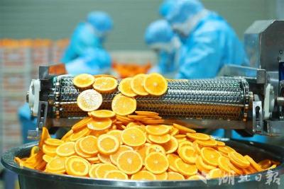 打造新时代鱼米之乡·荆楚优品｜橘子元宇宙酒吧成秭归脐橙品牌新IP