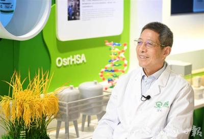 二十年磨一剑，全球首创“稻米造血”新药获批上市  