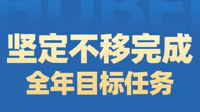 湖北冲刺全年怎么干？七个“坚定不移”是重点！  