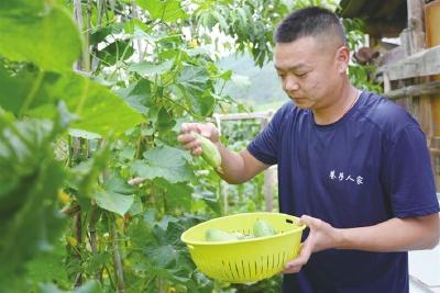 宜昌“凉资源”何以撬动“热消费”？