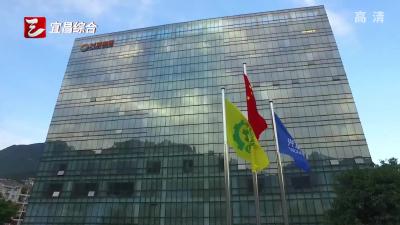 兴发集团上榜《财富》中国500强