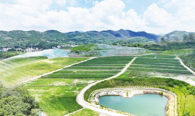 荒山着绿装 沃土涌金浪—— 孝昌县小河镇 “三重蝶变” 绘就生态振兴新图景