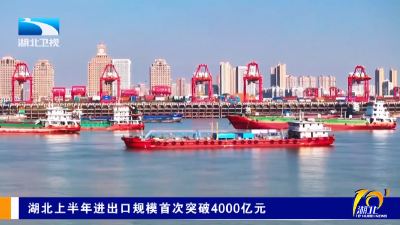 湖北上半年进出口规模首次突破4000亿元  