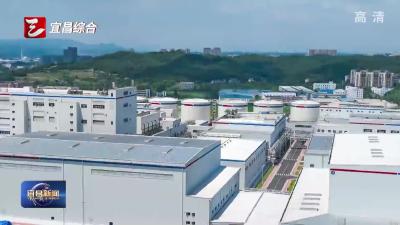 安琪酵母上半年营收净利双增长