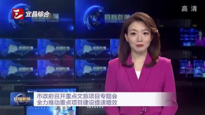 市政府召开重点文旅项目专题会