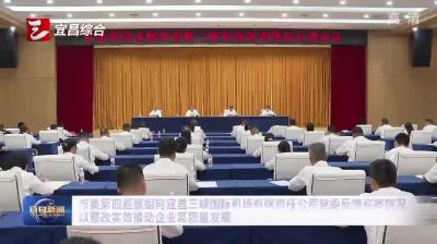 市委第四巡察组向宜昌三峡国际机场有限责任公司党委反馈巡察情况