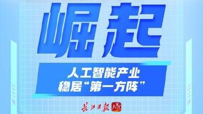 AI车谷 ——武汉竞逐“智驾第一城”的突围路径 | 大成奋进·武汉AI+优势产业调研①