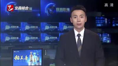 熊征宇陈红辉调研督导城区创建惠民攻坚解难行动推进情况