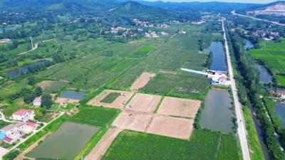 “营养餐”、温湿度传感器……奶牛的生活有多智能？