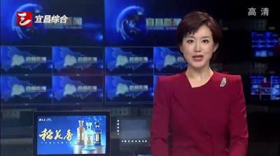 远安兴华磷化工磷系阻燃剂项目冲刺年底竣工