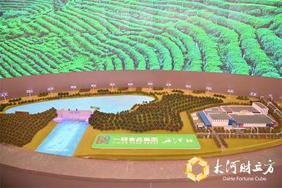 南水北上，“北冰洋”南下｜活力中国调研行  