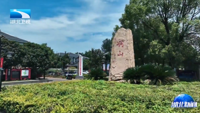 锲而不舍落实中央八项规定精神丨鄂州峒山村：创新“党员联户”机制 走出发展新路 