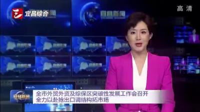 全市外贸外资及综保区突破性发展工作会召开
