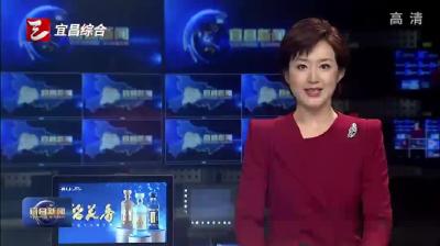 奥运冠军来宜参赛 市民感受竞技魅力