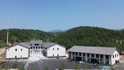 上线八个多月，交易额近一点五亿元 供应链平台助广水农产品“驾云”出山  