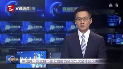 中国共产党宜昌市第七届委员会第九次全体会议决议