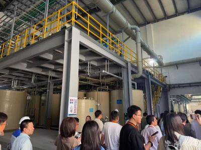 活力中国调研行｜200亿项目叠浪式推进，全球稀散金属行业“领头羊”重仓荆州