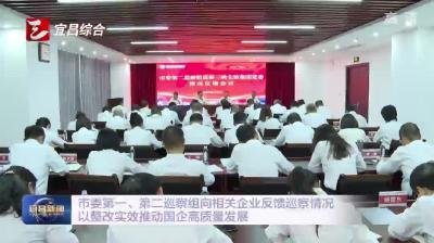 市委第一、第二巡察组向相关企业反馈巡察情况