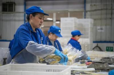 “荆州味道”抢占“鲜”机的奥秘