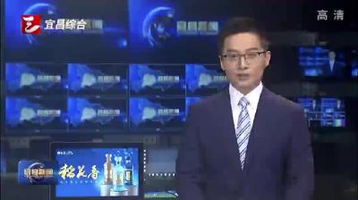陈红辉调研就业创业、人才服务和社会保障工作时强调 为打造全省支点建设先行区提供坚实人力资源保障