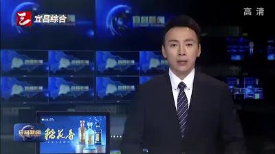 陈红辉研究推进领衔的“四个重大”项目