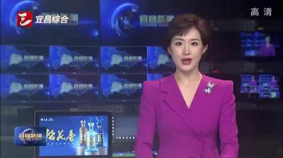 陈红辉调研林业和园林工作
