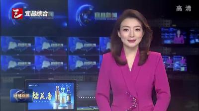 两位百岁抗战老兵载誉返宜