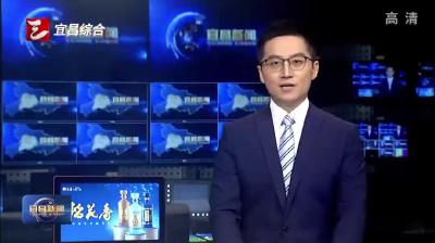 陈红辉与深圳市东阳光实业发展有限公司董事长张寓帅座谈