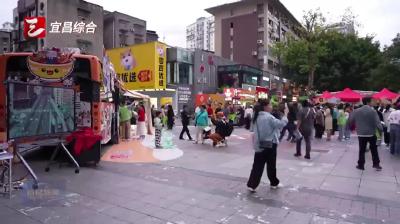 宜昌市公交出行宣传周活动启动