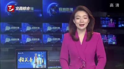 今日快报