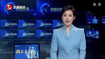 王忠林在宜昌调研时强调 切实加快产业发展 做大做强县域经济 努力为全省支点建设作出更大贡献