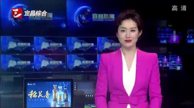 何良军在宜昌调研时强调 以高质量组织工作服务高质量发展 汇聚支点建设的强大动能