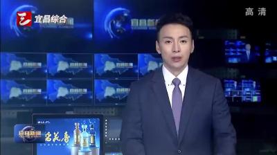 三峡旅游职业技术学院新生报到  开启逐梦新程