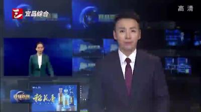 宜昌市召开省委第九轮巡视反馈问题整改工作动员部署会