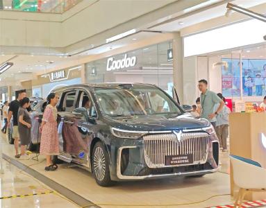 前7个月湖北乘用车销量超46万辆 每卖出10辆车有6辆新能源