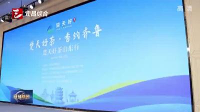 “楚天好茶山东行”走进济南青岛