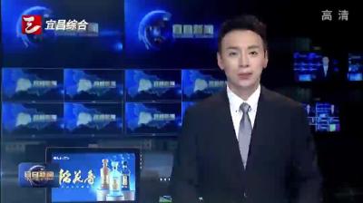 宜昌市2025年县域经济高质量发展现场推进会暨“四个重大”第三次集中调度会举行