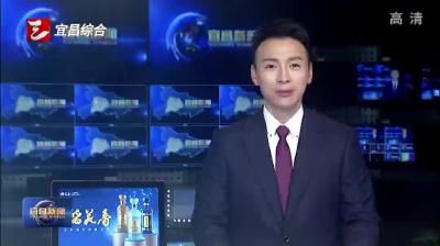 拆“盲盒”出新茶  开启增收好光景