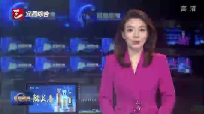 市政府召开常务会议