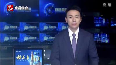 宜昌市低空经济算力经济行业政企恳谈会召开