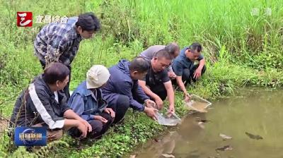 珍稀动物中国小鲵人工辅助繁育项目取得关键进展