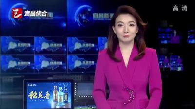 楚能新能源宜昌80GWh全新一代锂电池项目开工