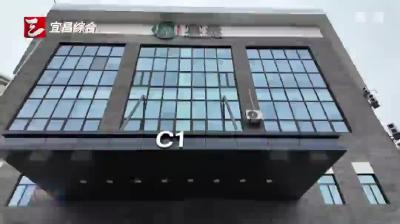 宜茶集团湖北萧氏直播基地入选全国典型案例