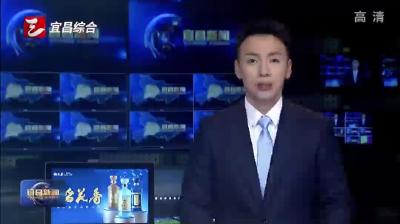 宁咏在宜昌调研时强调 扎实推动乡村全面振兴 同心聚力服务支点建设