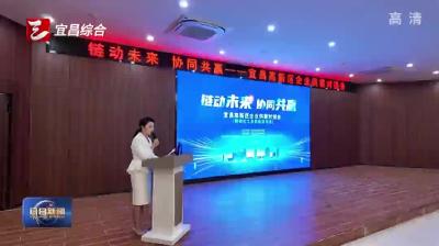 宜昌高新区举办精细化工及新能源企业供需对接会