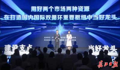 从“中部中心”向“全国核心枢纽”跃升，武汉勾勒双循环发展新蓝图