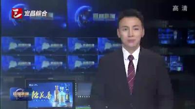 博物馆里人气旺  “一站式”感受昭君文化
